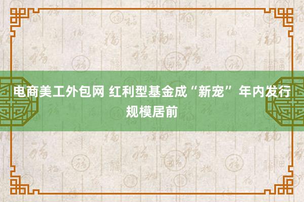 电商美工外包网 红利型基金成“新宠” 年内发行规模居前