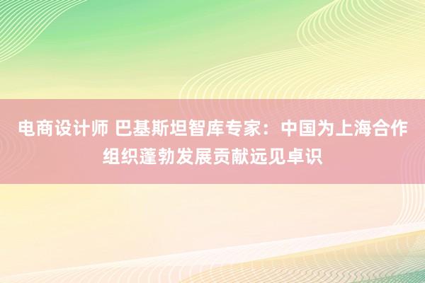 电商设计师 巴基斯坦智库专家：中国为上海合作组织蓬勃发展贡献远见卓识