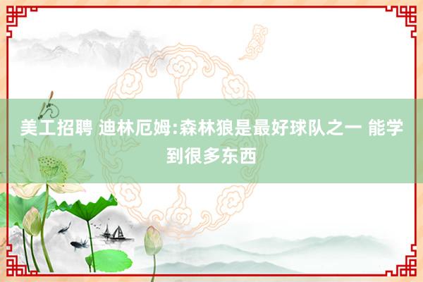 美工招聘 迪林厄姆:森林狼是最好球队之一 能学到很多东西