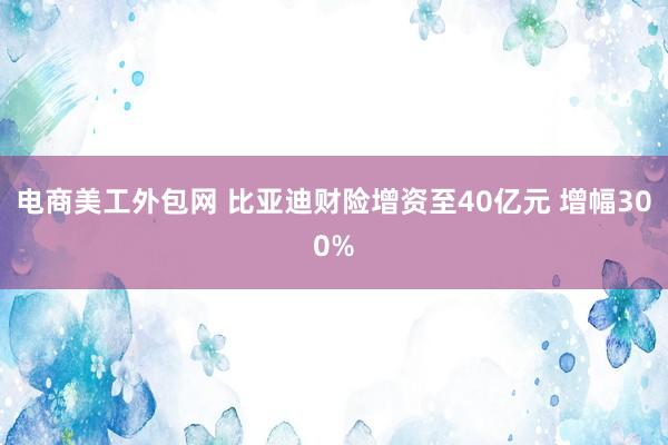 电商美工外包网 比亚迪财险增资至40亿元 增幅300%