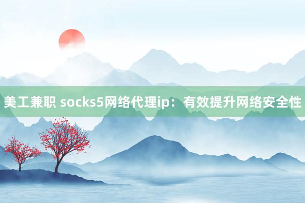 美工兼职 socks5网络代理ip：有效提升网络安全性