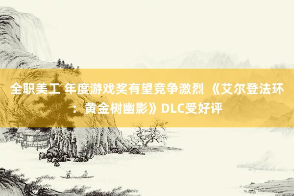 全职美工 年度游戏奖有望竞争激烈 《艾尔登法环：黄金树幽影》DLC受好评