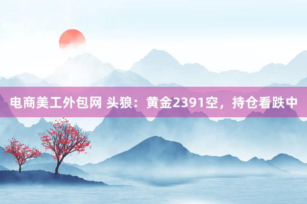 电商美工外包网 头狼：黄金2391空，持仓看跌中