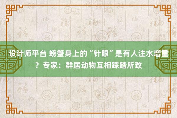 设计师平台 螃蟹身上的“针眼”是有人注水增重？专家：群居动物互相踩踏所致