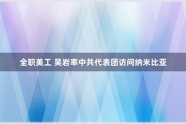 全职美工 吴岩率中共代表团访问纳米比亚